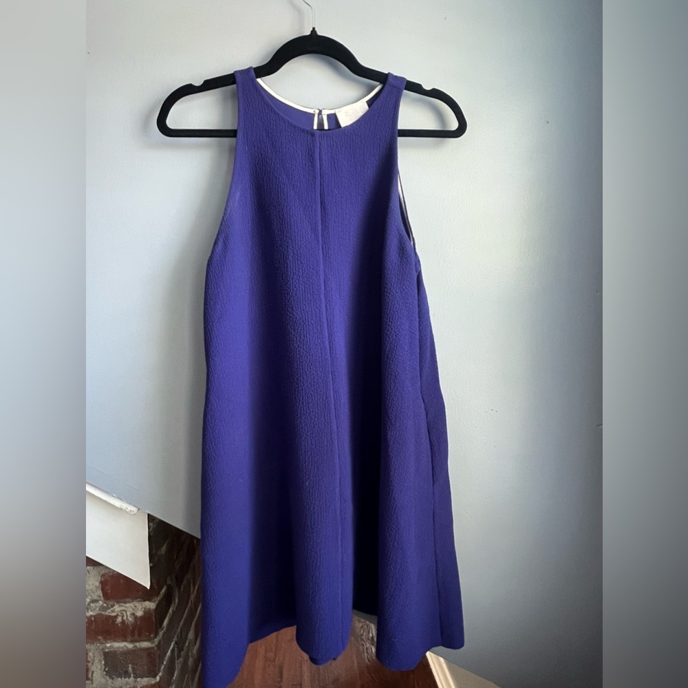 Deep purple Aritzia shift dress with pockets!
